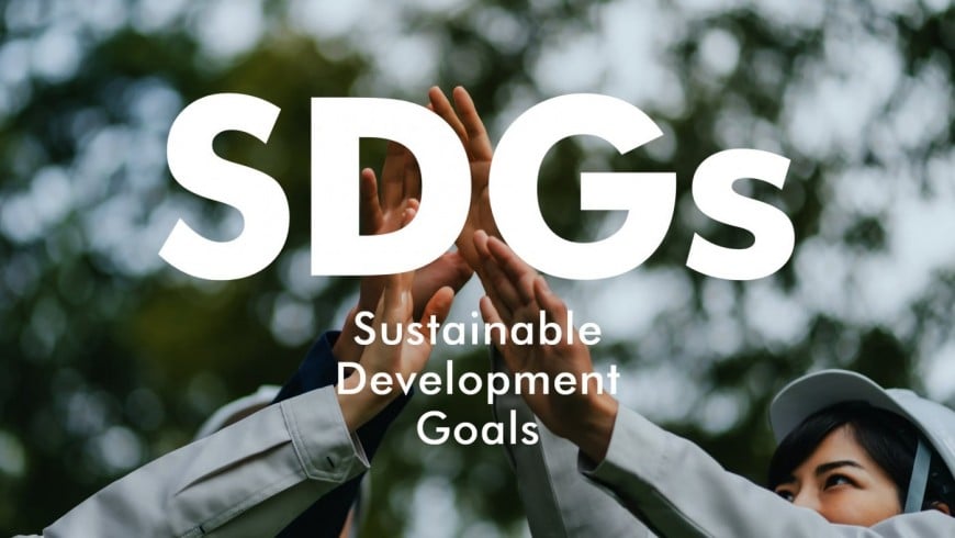 Sustainable Development Goals Sustainable Development Goals